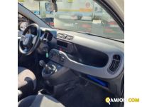 Fiat PANDA panda