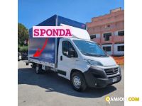 Fiat DUCATO ducato