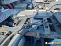 IVECO** AS440S46 T/P | Pesanti Stradali oltre 151 q.li Trattore | Luigi Bacchi IVECO