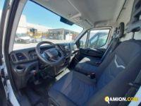 IVECO** 35S16V | Leggeri fino 35 q.li Altro | Luigi Bacchi IVECO