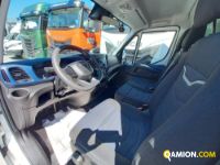 IVECO** 35C16 | Leggeri fino 35 q.li FURGONE LEGA - PLYWOOD - ISOTERMICO - NEGOZIO | Luigi Bacchi IVECO