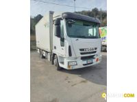 IVECO** 80E22 | Medi  da 36 a 150 q.li Altro | Luigi Bacchi IVECO