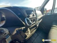 IVECO** 35S16 | Leggeri fino 35 q.li Altro | Luigi Bacchi IVECO