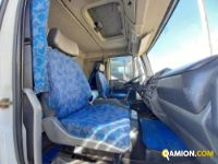 IVECO** 80E18 | Medi  da 36 a 150 q.li Centina | Luigi Bacchi IVECO