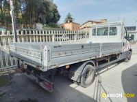 IVECO** 35C16 | Leggeri fino 35 q.li Cassone fisso | Luigi Bacchi IVECO