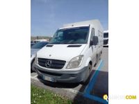 MERCEDES** SPRINTER SPRINTER  | Leggero Cabinato <= 35 q.li Isotermico con gruppo frigo | Luigi Bacchi IVECO