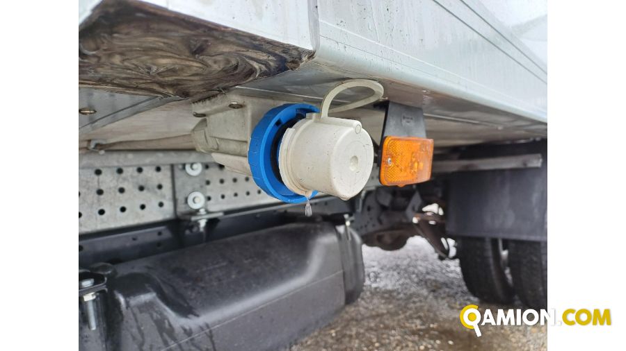 Iveco DAILY 35C16 DAILY 35C16 | Altro Altro | Iveco Orecchia