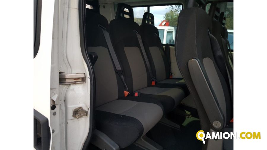 Iveco DAILY 9 POSTI PULMINO | Altro Altro