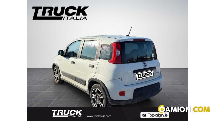 Fiat Panda III Panda van 1.0 hybrid Street 70cv 4p.ti serie 4 E6d | Altro Altro