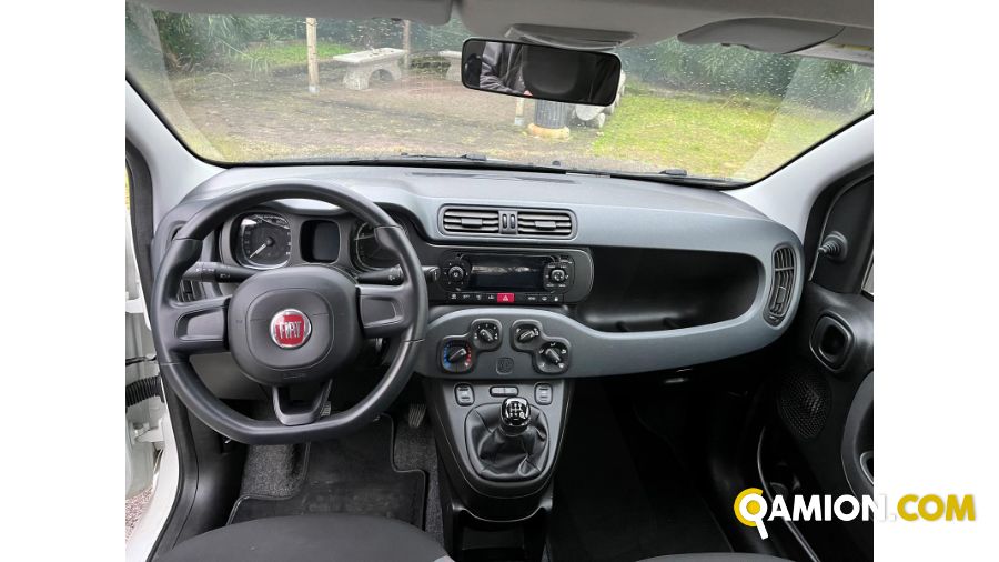 Fiat PANDA panda | BEDIN ALBERTO