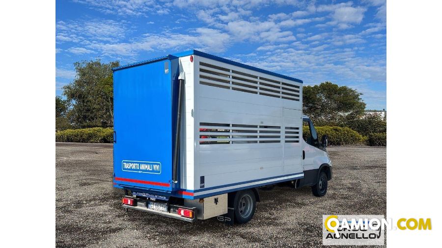 Iveco DAILY 35C14 DAILY 35C14 | Sollevamento e movimentazione Trasporto animali | Borgo Agnello S.p.A.