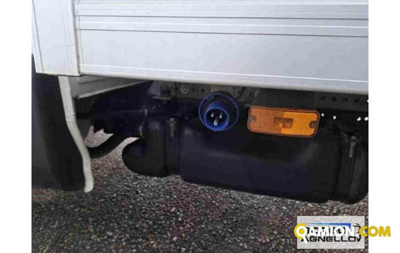 Iveco DAILY 35C16 DAILY 35C16 | Altro Isotermico / coibentato | Borgo Agnello S.p.A.