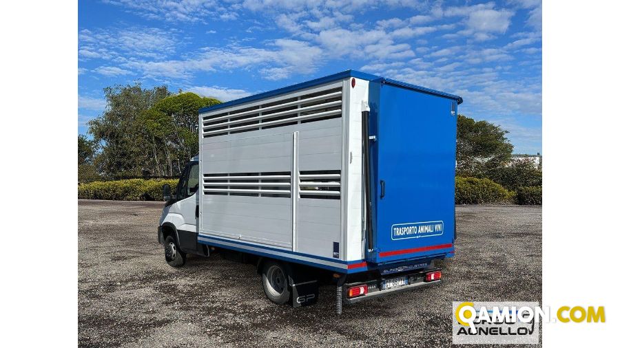 Iveco DAILY 35C14 DAILY 35C14 | Sollevamento e movimentazione Trasporto animali | Borgo Agnello S.p.A.