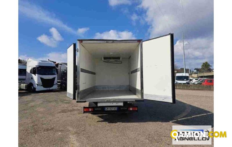 Iveco DAILY 35C16 DAILY 35C16 | Altro Isotermico / coibentato | Borgo Agnello S.p.A.