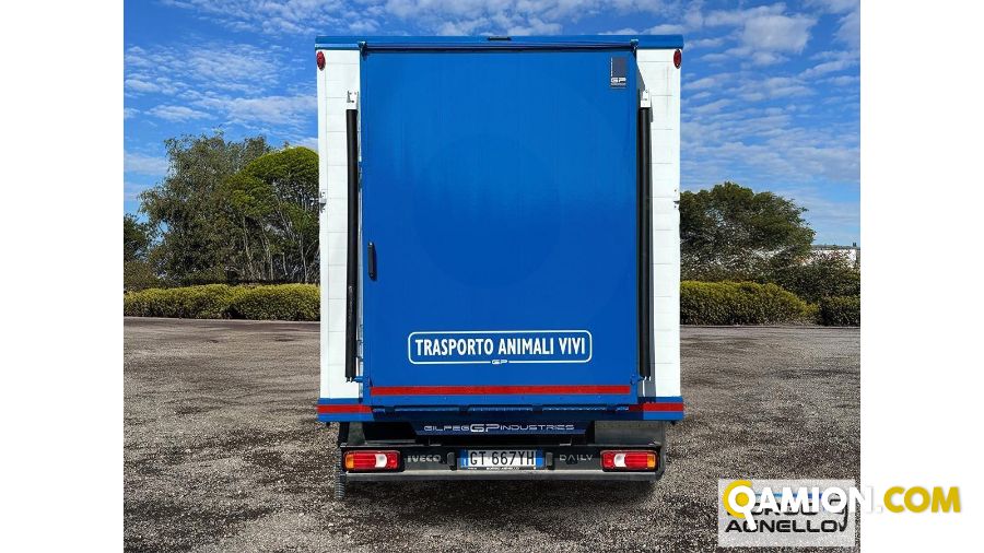 Iveco DAILY 35C14 DAILY 35C14 | Sollevamento e movimentazione Trasporto animali | Borgo Agnello S.p.A.
