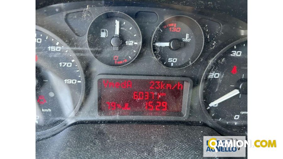 Iveco DAILY 65C15 DAILY 65C15 | Motrice Isotermico / coibentato | Borgo Agnello S.p.A.