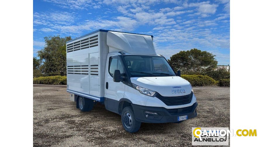Iveco DAILY 35C14 DAILY 35C14 | Sollevamento e movimentazione Trasporto animali | Borgo Agnello S.p.A.