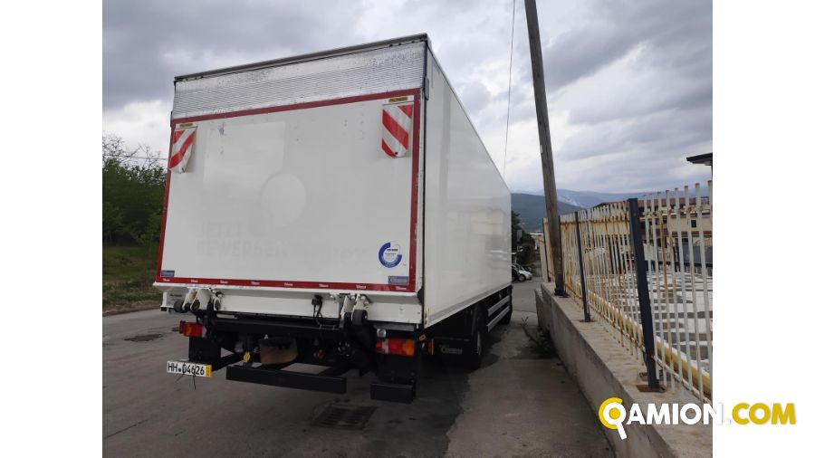 Man TGM 15.290 4X2 LL TGM 15.290 4X2 LL | PROCIDAMACCHINE S.R.L.