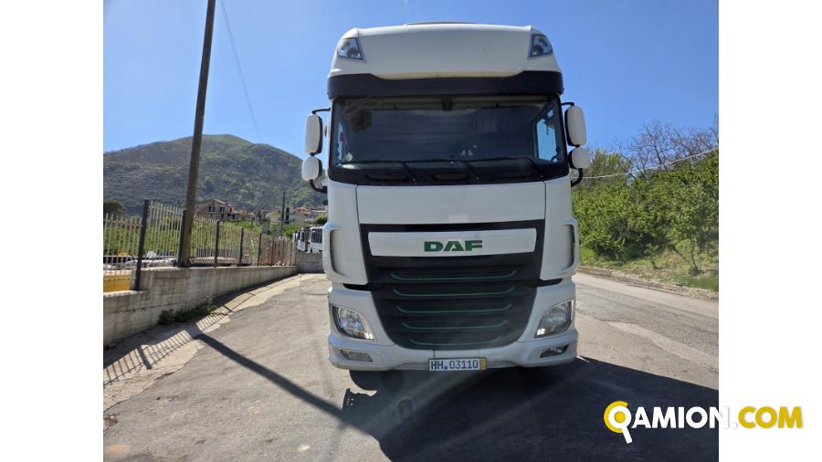 Daf XF xf440 | PROCIDAMACCHINE S.R.L.