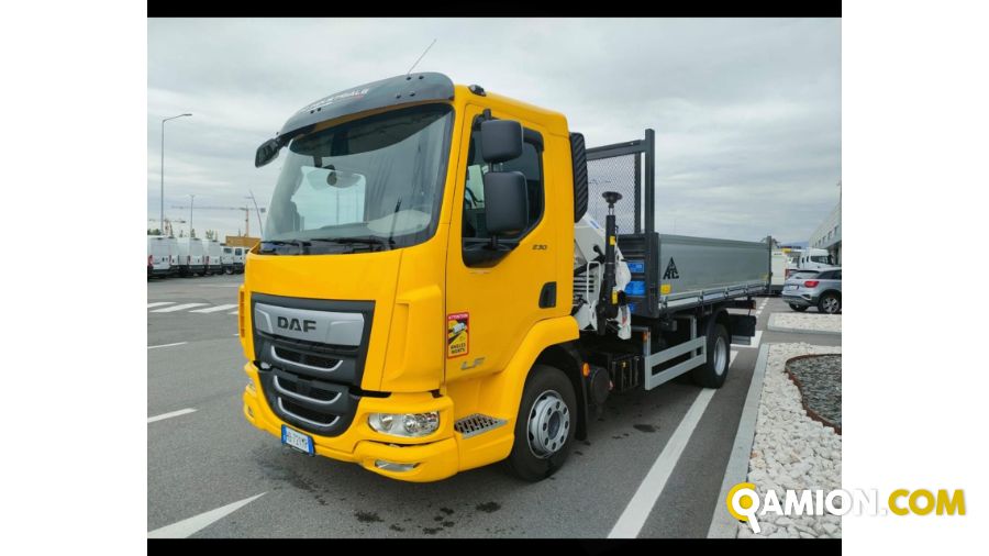 Daf LF FA 120 2017 DAF LF 230CV 120Q RIBALTABILE TRILATERALE CON GRU Altro | AUTO INDUSTRIALE BERGAMASCA SPA