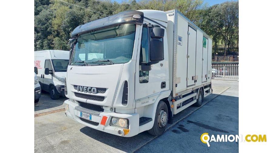 IVECO** 80E22 | Medi  da 36 a 150 q.li Altro | Luigi Bacchi IVECO